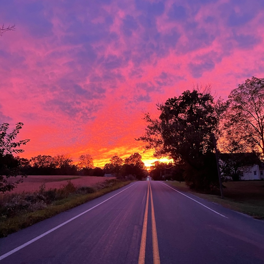 Meet your Posher, Audrey